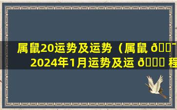 属鼠20运势及运势（属鼠 🐯 2024年1月运势及运 🍁 程详解）